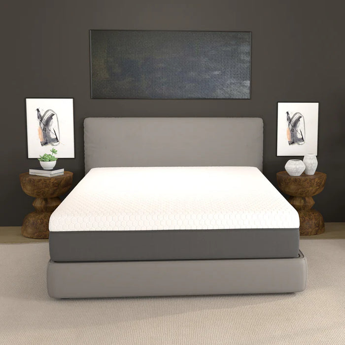 12" Zoned Reactive - Medium